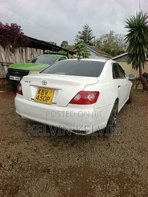 Toyota Mark X 2007 White