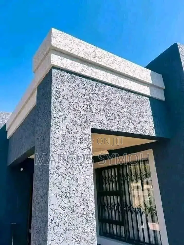 Painting, Decoration and Application of Textured Paints