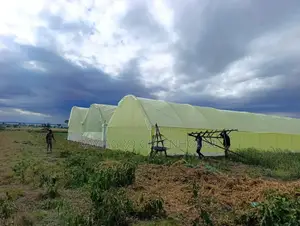 Greenhouse