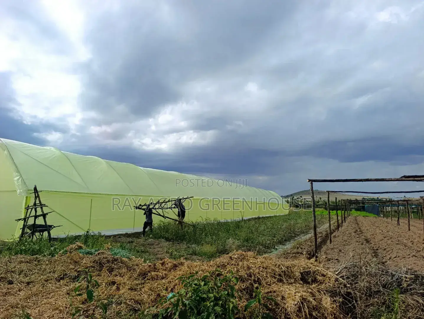 Greenhouse
