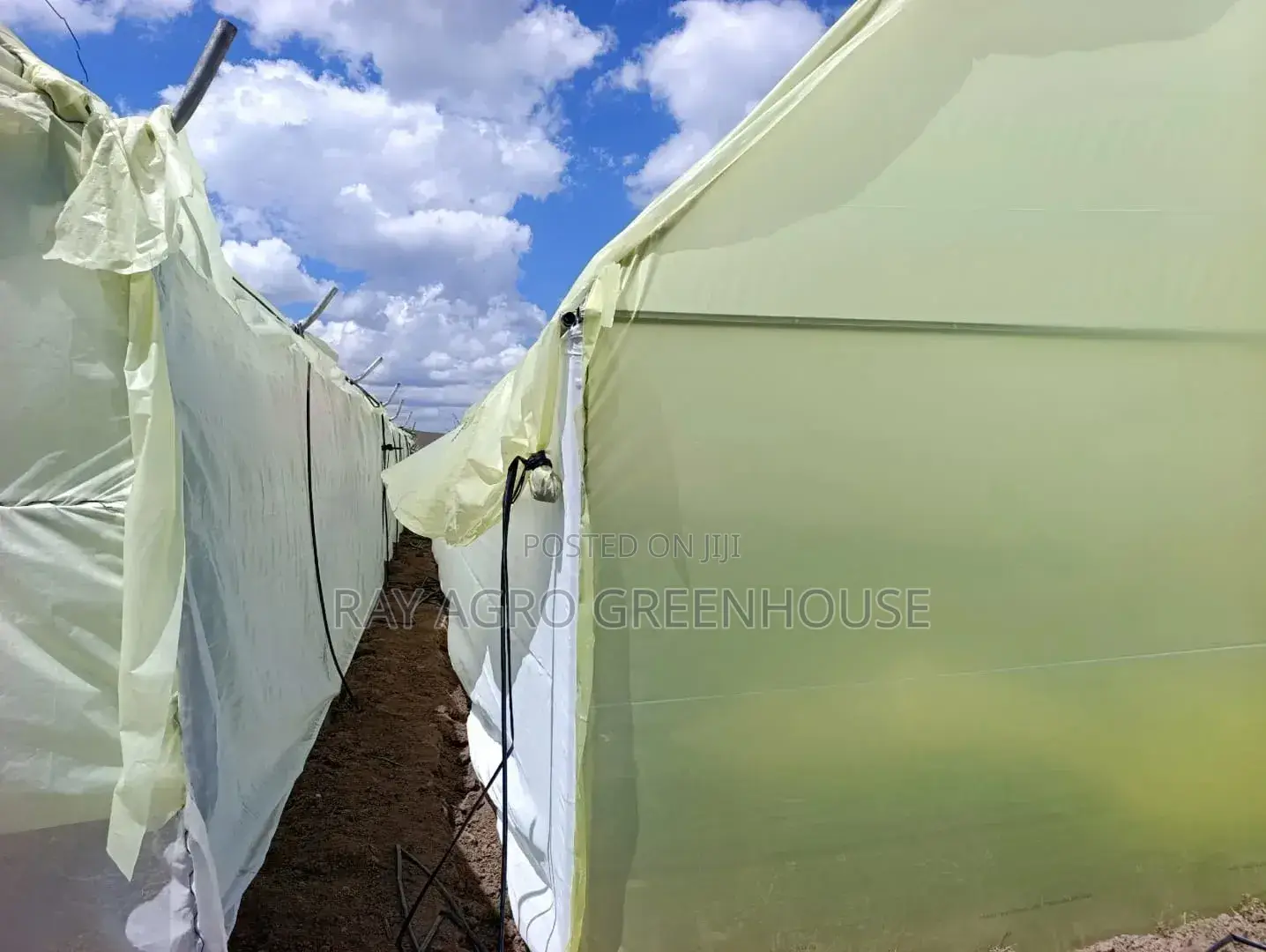 Greenhouse