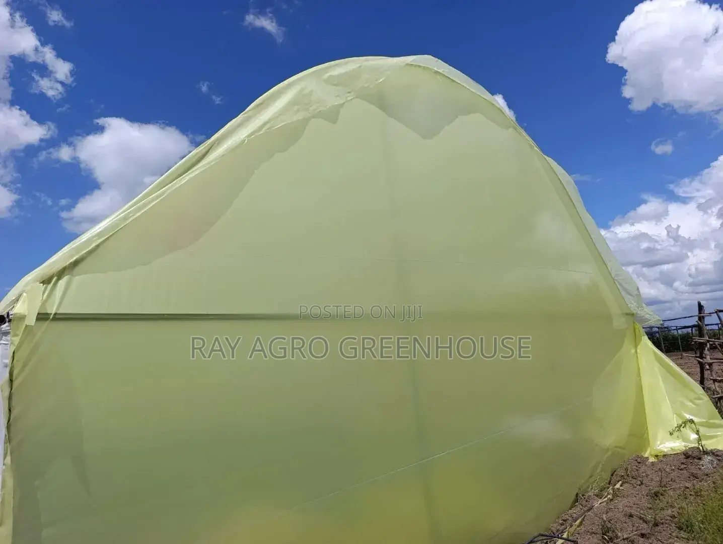 Greenhouse