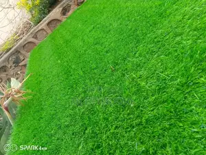 Affordable Artificial Grass Carpet With Professional Installation