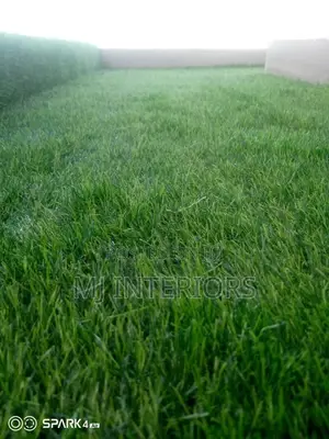 Artificial Grass Carpet in Nairobi | Supply Installation