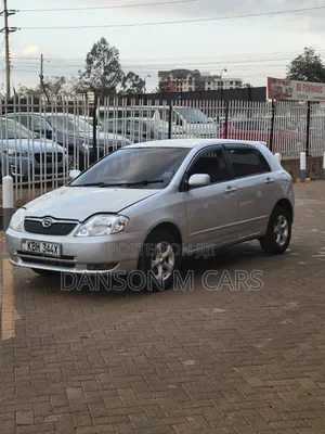 Toyota Corolla RunX 2004 Silver