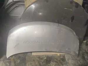 Nissan Serena 2008 Bonnet