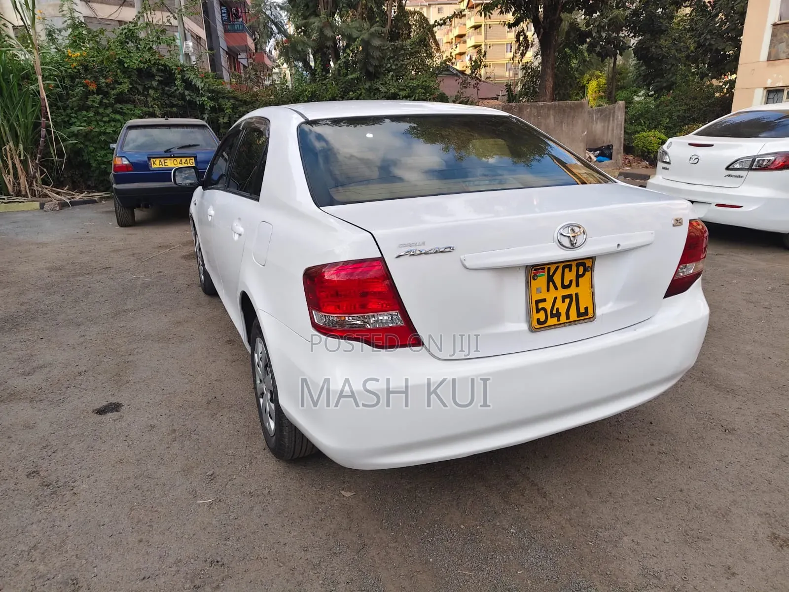 Toyota Axio 2010 White