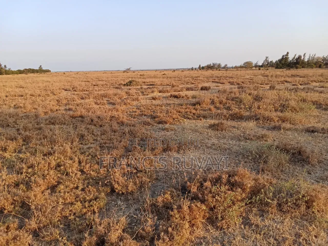 20acres of Land in Kisaju for Sell