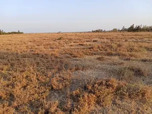 20acres of Land in Kisaju for Sell