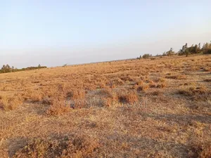 20acres of Land in Kisaju for Sell