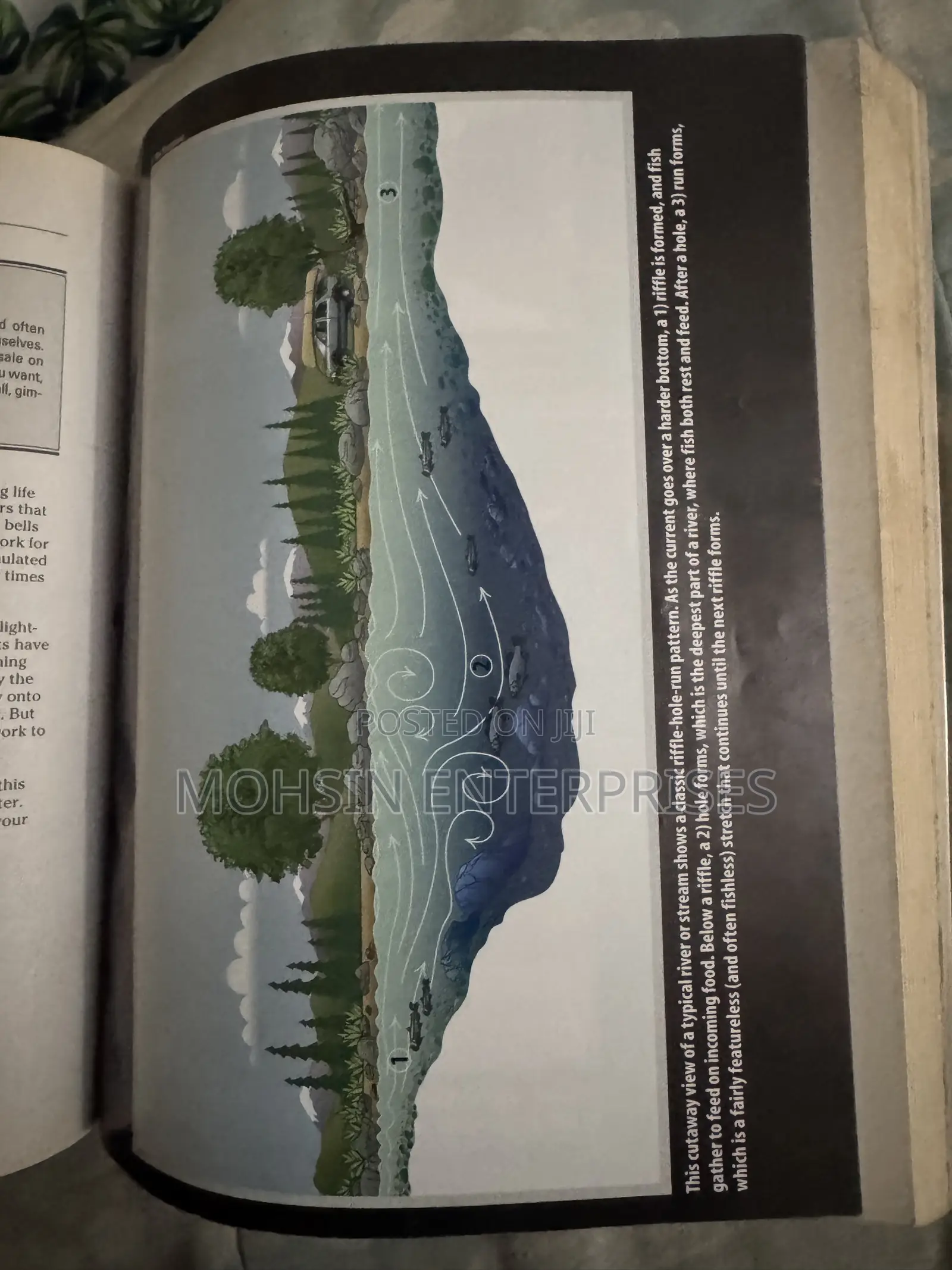 100% Original Fishing for Dummies Used but in Perfect Condition
