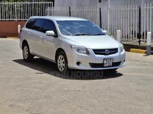Toyota Corolla Fielder 2010 Silver