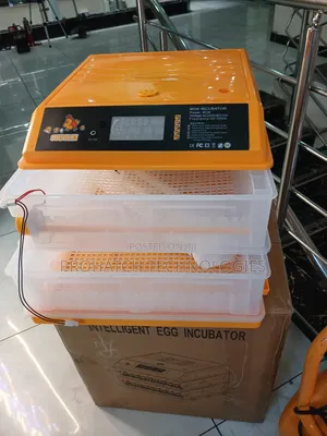 128Eggs Clear Incubator AC/DC