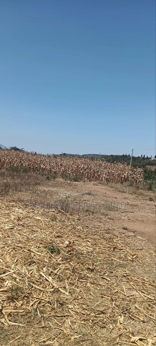 100x100 Plot in Kikuyu Kamangu/Ndiguini Lusingetti - thumbnail 2