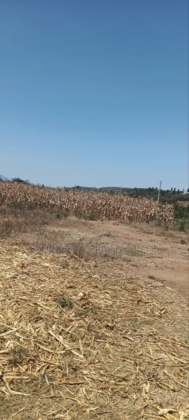 100x100 Plot in Kikuyu Kamangu/Ndiguini Lusingetti