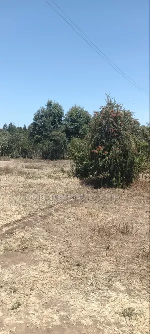 100x100 Plot in Kikuyu Kamangu/Ndiguini Lusingetti