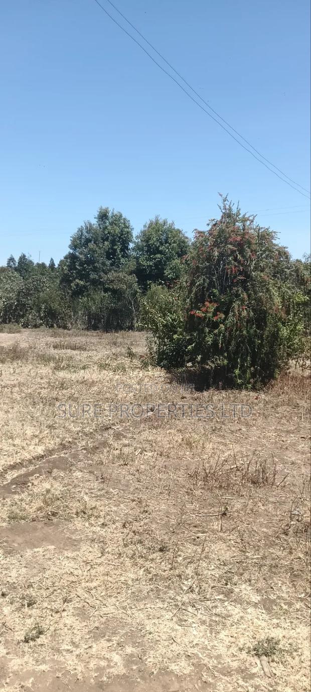 100x100 Plot in Kikuyu Kamangu/Ndiguini Lusingetti - thumbnail 4