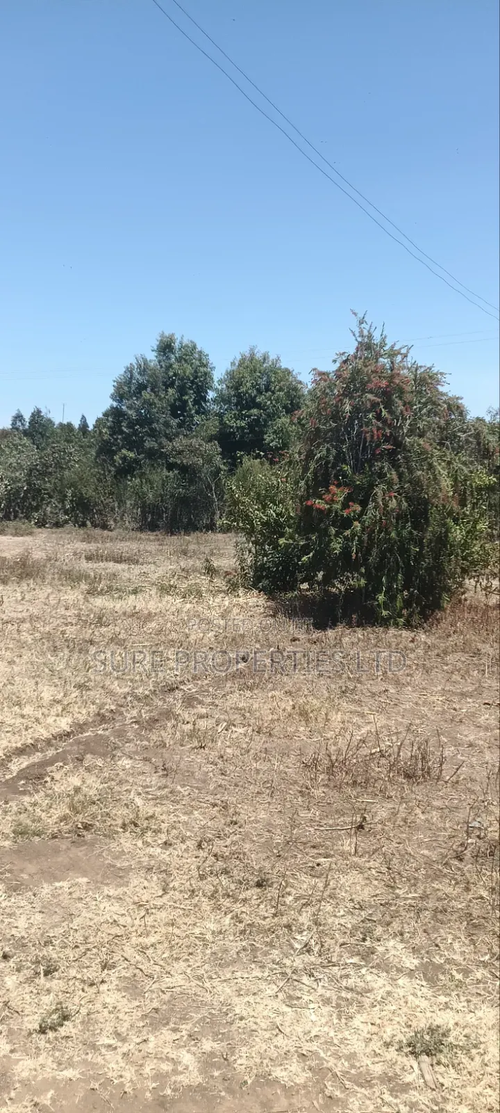 100x100 Plot in Kikuyu Kamangu/Ndiguini Lusingetti
