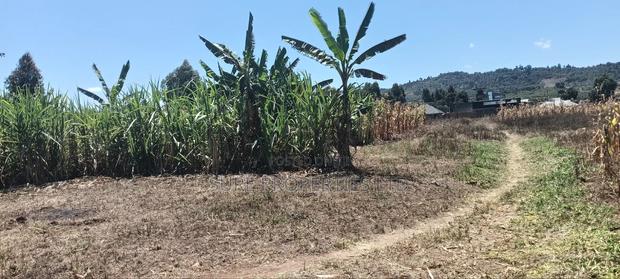 100x100 Plot in Kikuyu Kamangu/Ndiguini Lusingetti - thumbnail 5