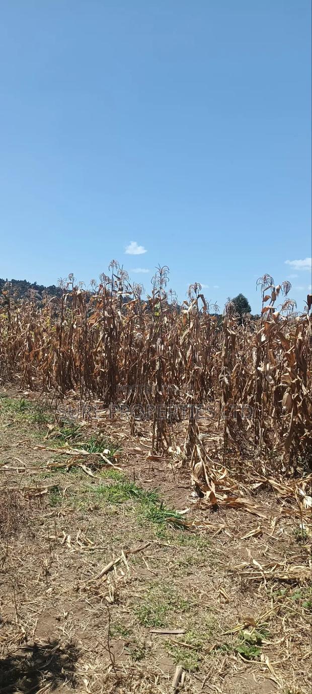 100x100 Plot in Kikuyu Kamangu/Ndiguini Lusingetti - thumbnail 6