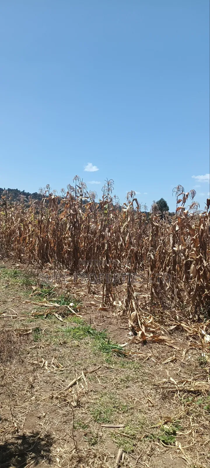 100x100 Plot in Kikuyu Kamangu/Ndiguini Lusingetti
