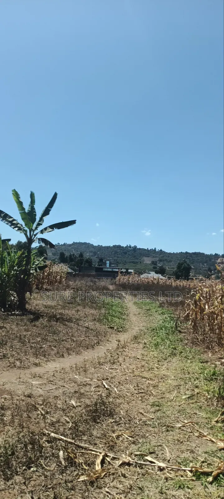 100x100 Plot in Kikuyu Kamangu/Ndiguini Lusingetti