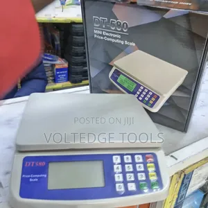 High-Precision DT-580 Mini Electronic Price-Computing Scale (30kg)
