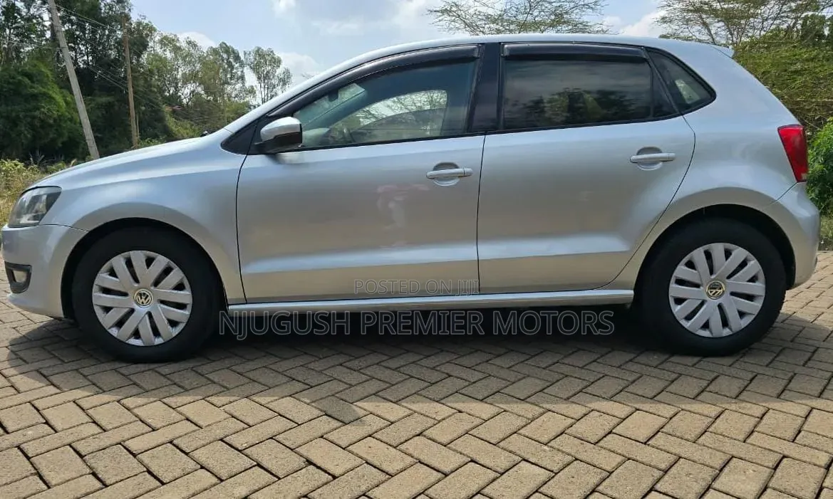 Volkswagen Polo 2011 Silver