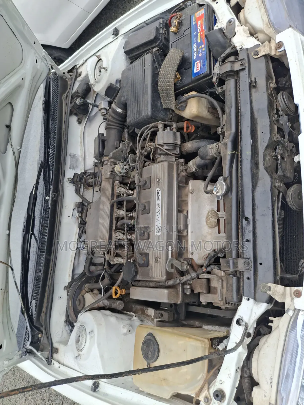 Toyota Corolla 1998 White