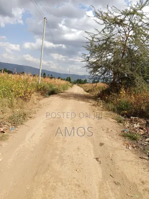5ac Land for Sale 2nd Row From the Narok Highway Mafuta Taa Maimahiu