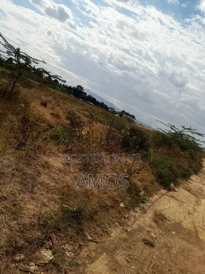 1⁄8acre Plots for Sale in Maimahiu Mafuta Taa Area