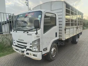 Isuzu NQR 2022