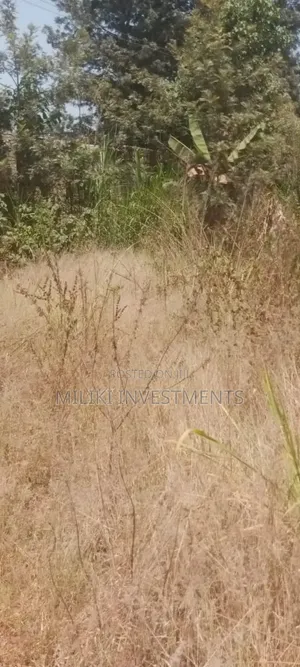 50 by 100 Ft Commercial Plot on Sale at Gatundu Mutomo