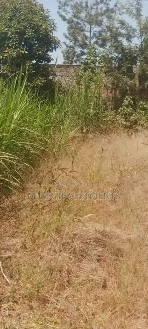 50 by 100 Ft Commercial Plot on Sale at Gatundu Mutomo