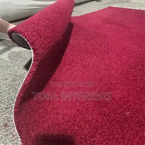 Thick and Warm Wall to Wall Floor Mats for Home and Office Carpeting
