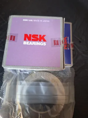 Mitsubishi FUSO FI Kingpin Bearing