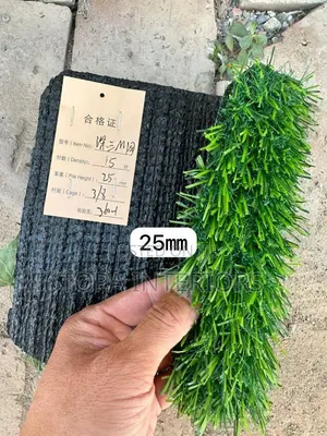 25mm Durable Outdoor Grass Carpets for All Weather Conditions