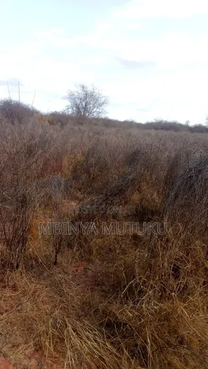104 Acres Kitui Kanziku