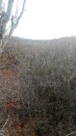 104 Acres Kitui Kanziku