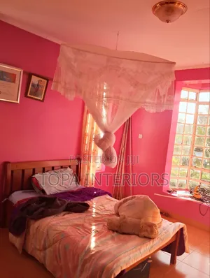 Bed Mosquito Nets With Fine Mesh