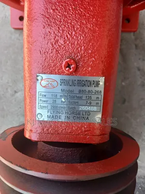 3inch Bare Pump