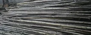 Props/ Poles