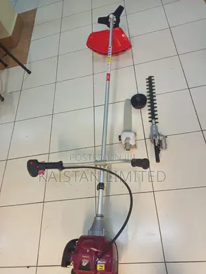 Premier 4-in-1 Powerful 4-Stroke Engine Petrol Grass Weed Cutter