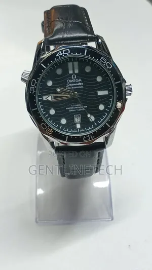 Omega Seamaster Watch
