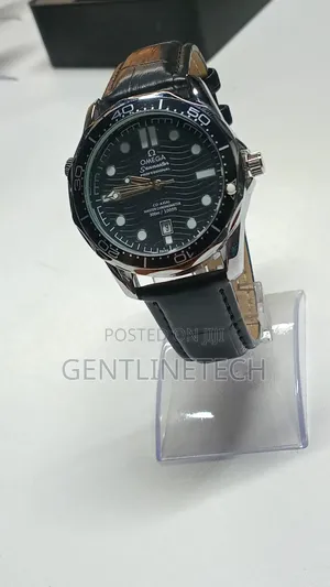 Omega Seamaster Watch