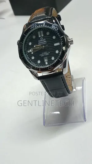 Omega Seamaster Watch