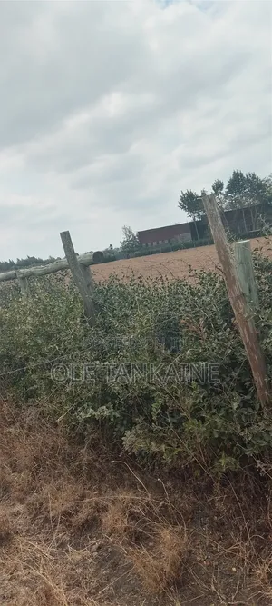 Plot for Sale