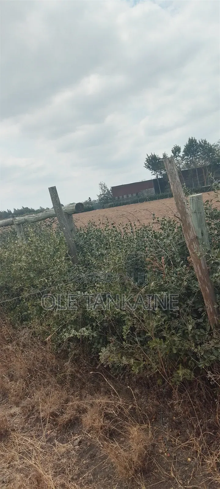 Plot for Sale