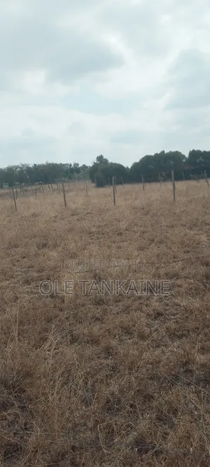 Plot for Sale