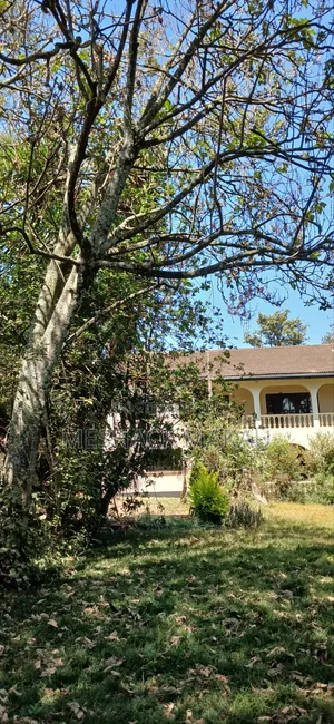 5bdrm House in Nyari for rent
